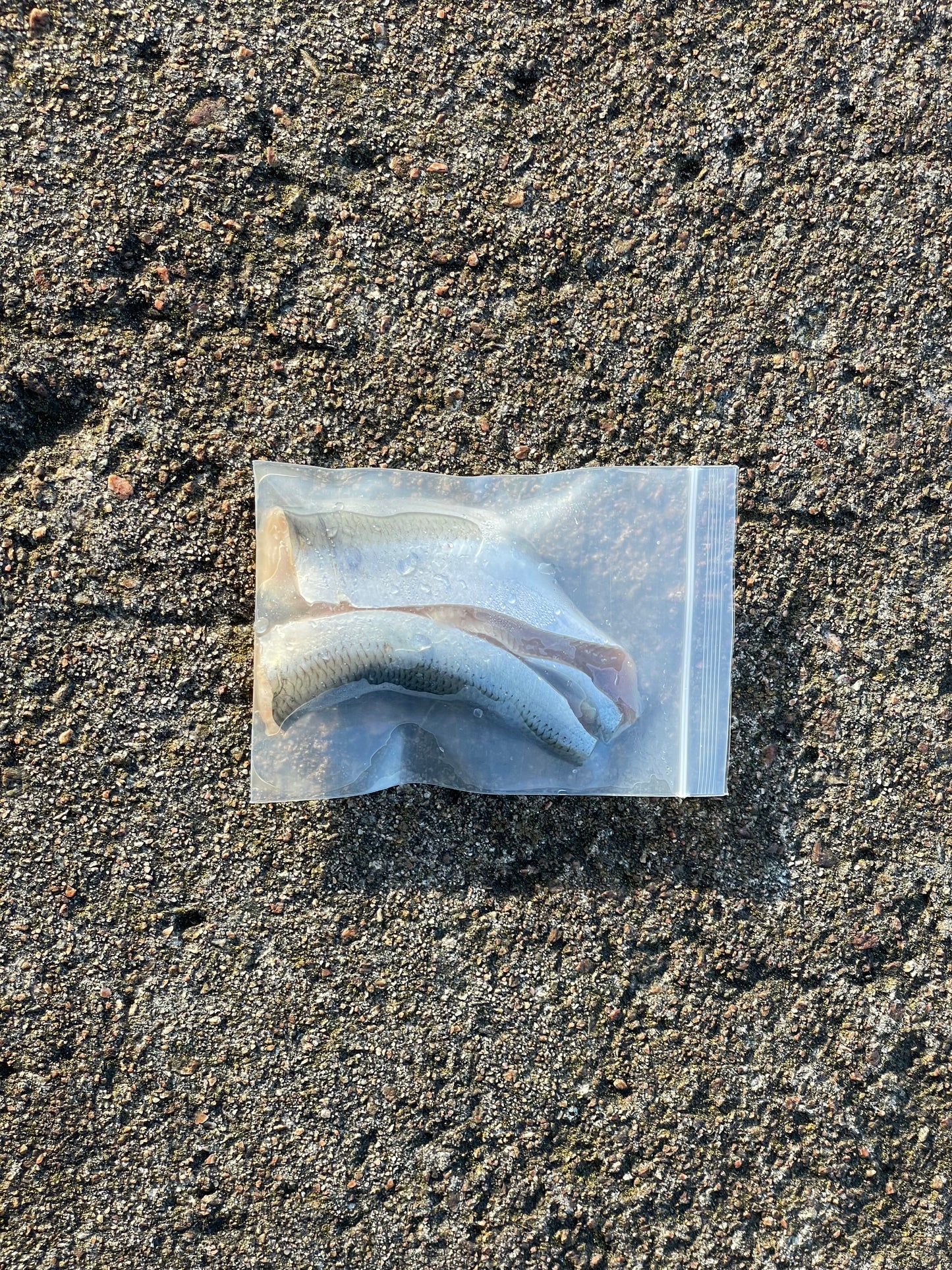 Bait herring packaging bags