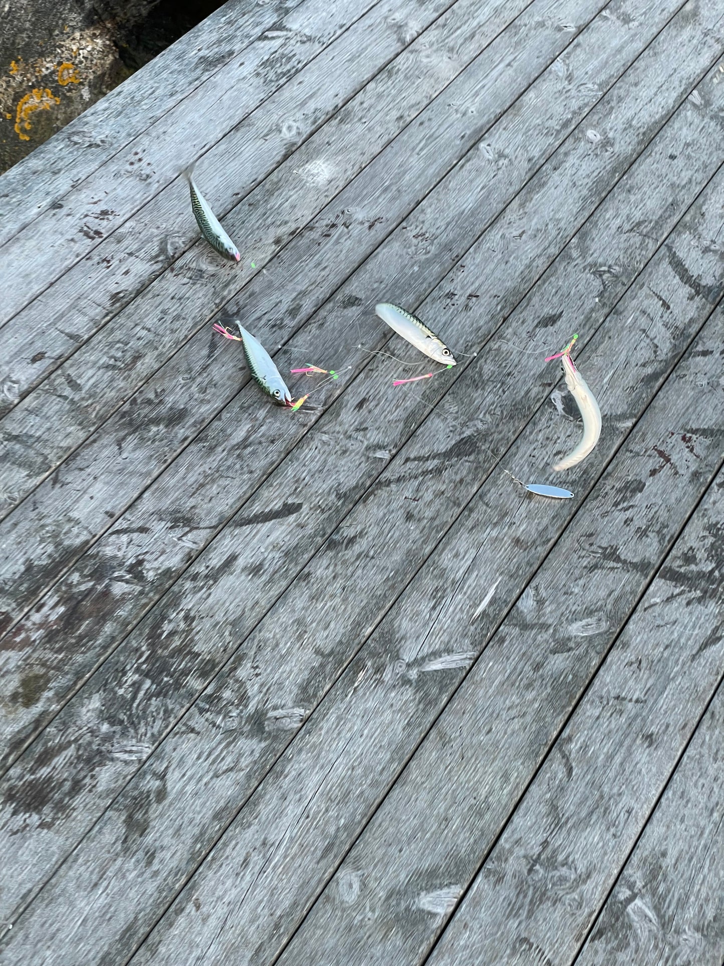 Närbild på 12 mm röda krokar för makrillhäckla