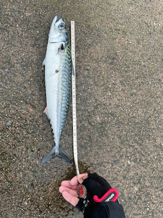 1m Måttband