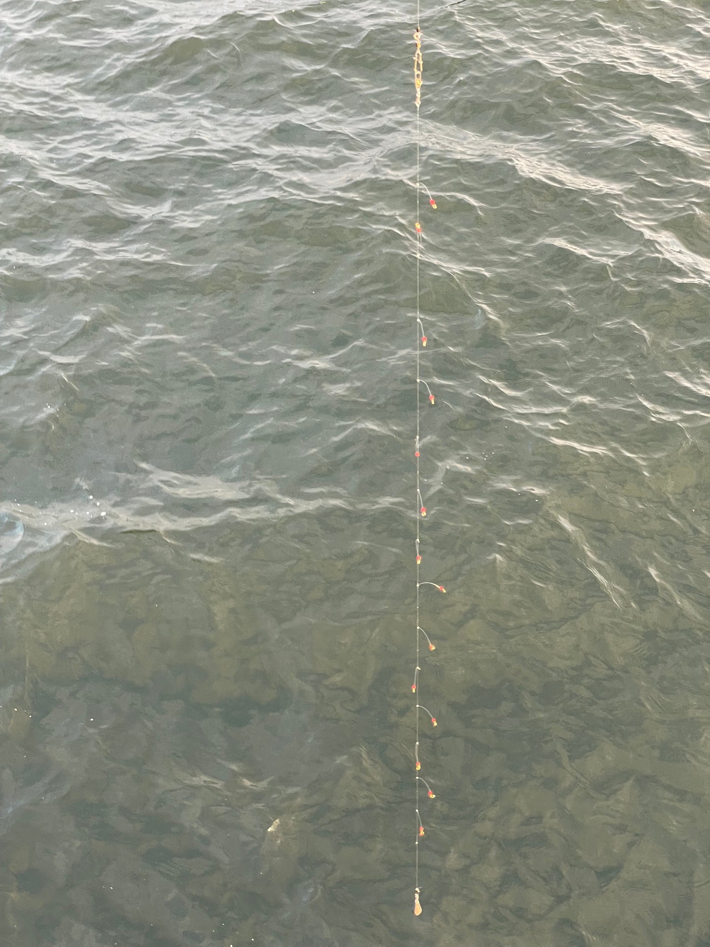Small bait herring tackle