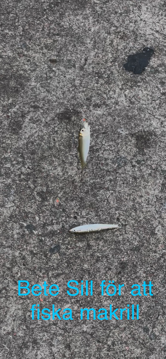 Small bait herring (stagg) tackle