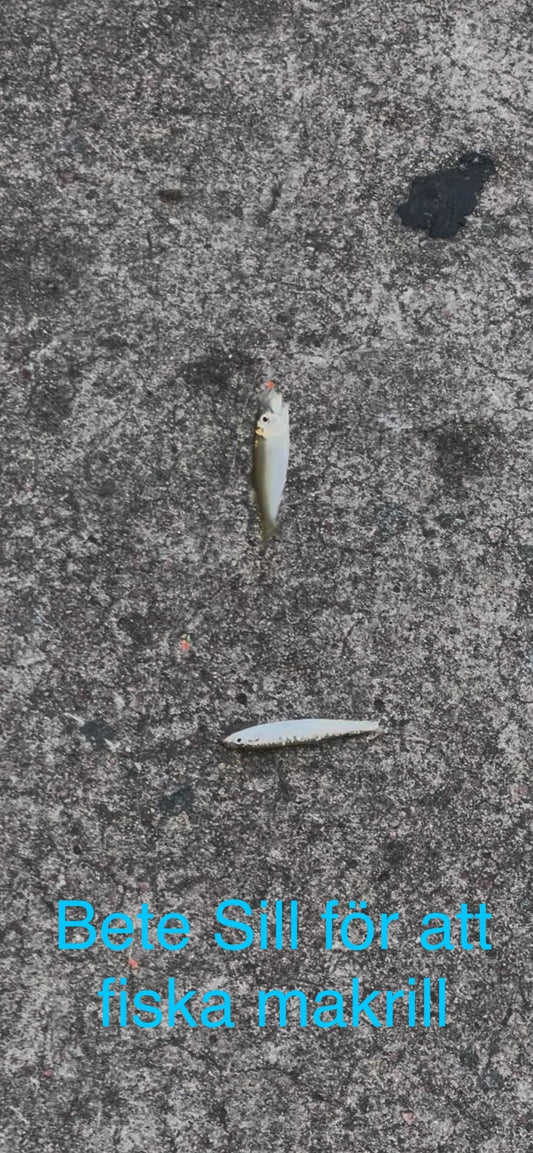 Makrillfiske: Vilket är bästa betet?