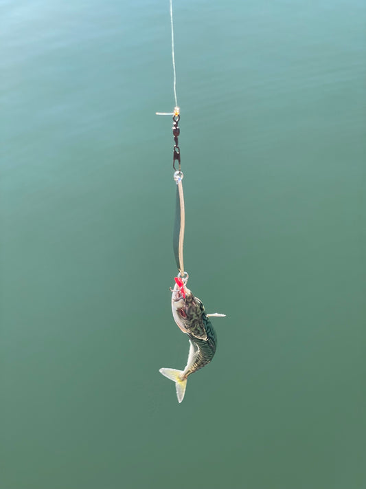 spoon-shaped tackle