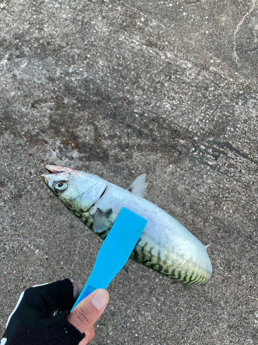 Plast Fisk Clip
