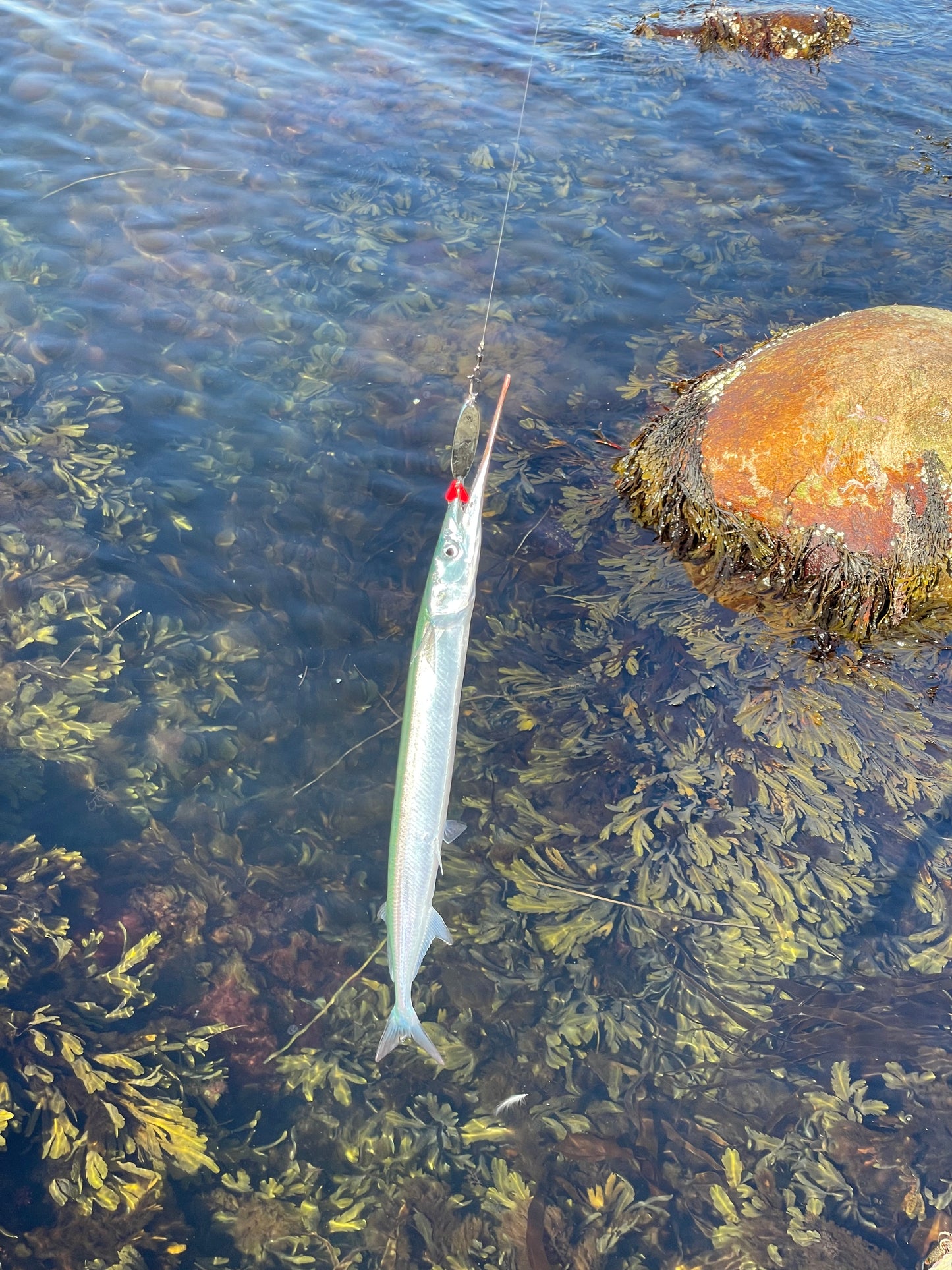20g Kil Sinker for Mackerel Fishing